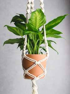 Cheapest Products Online Eco Friendly Macrame Hanging <b>Plant</b> Basket Home Decoration Buying in Large Quantity - Product Image 3