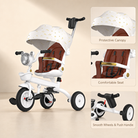 Tricycle poussette 3 en 1 pour enfants OEM avec poignée de poussée, capote réglable, vélo pour tout-petits, tricycle bébé pour les voyages en plein air