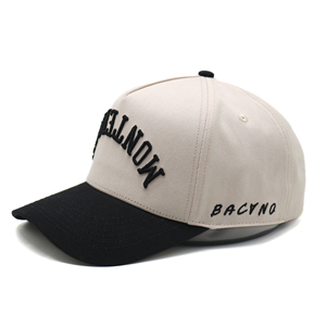 2026 sombreros de camionero para hombres más vendidos 100% Material de algodón logotipo personalizado impresión Streetwear estilo gorras para hombres - Product Image 3