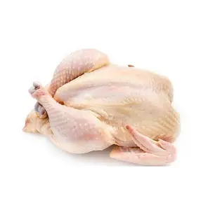 Pollo fresco Halal congelado de Brasil Pollo entero Halal congelado de calidad y piezas de pollo de Brasil