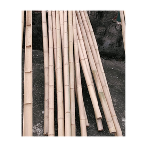 Treated Bamboo For Outdoor <b>Garden</b> From Vietnam / Bamboo Pole Bamboo <b>Canes</b> For Fences Partitions Decor - Product Image 2