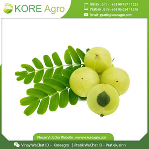 ผงก๊วยเบอร์รี่อินเดีย Amla ธรรมชาติ 100% ดีที่สุดสําหรับทําขนมคุณภาพเกรดอาหาร - Product Image 2