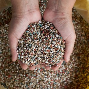 Fertilizantes orgánicos y químicos fuertes Fertilizantes confiables para la Agricultura Crecimiento de cultivos Venta al por mayor Exportación a granel - Product Image 5