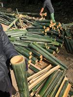 VENTE EN GROS POLE EN BAMBOU VERT CUBES EN BAMBOU PETIT ET GRAND DIAMÈTRE POCHE EN BAMBOU DE GRANDE QUANTITÉ DU VIETNAM