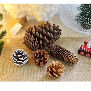 DÉLICIEUSES NOIX DE NOËL/PREMIUM GRADE/PRÊT À PROFITER OU À UTILISER DANS DES RECETTES FESTIVES - Product Image 5