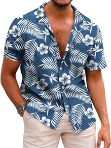 Chemise Hawaïenne Homme Été Rétro en Toile Unie Col en V Impression Numérique 3D Anti-Boulochage Écologique Respirante Plage 2025 - Product Image 5