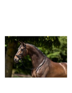 Brida de caballo hecha a mano de diseño personalizado con precio económico cuero y latón-SS Hardware OEM ODM Bienvenido - Product Image 4