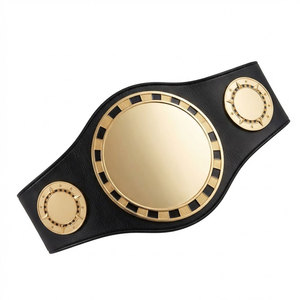 Cinturón de Premio de Lucha Libre Personalizado de Alta Calidad, Profesional, No Tóxico, con Logotipo Central Personalizado, Detalles Laterales y Correa Ajustable - Product Image 1