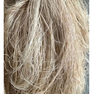 ดิบธรรมชาติกำเนิดเวียดนามกล้วยไฟเบอร์ทำให้ผลิตภัณฑ์ที่มีคุณภาพสูงในราคาที่แข่งขัน - Product Image 5