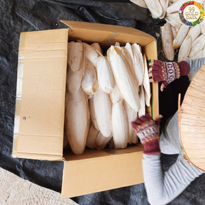 Os de seiche naturel du Vietnam fabriqué à partir de matériaux marins propres, idéal pour l'artisanat pour animaux de compagnie et les applications de décoration - Product Image 4