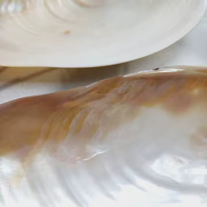 Conchiglia di vongole naturali giganti 10-11 "madreperla mezza conchiglia per vaschetta decorativa nautica costiera - Product Image 5