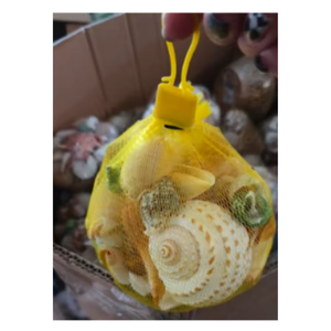 เปลือกหอยเล็กชายหาดผสมสำหรับทำสบู่และของตกแต่งเรซินอีพ็อกซี่ - Product Image 3