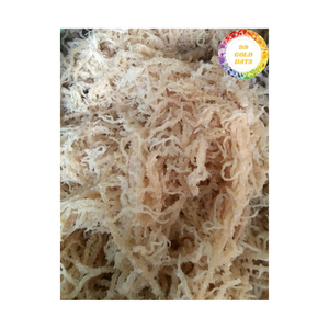 Matériau d'algues séchées de haute qualité de mousse de mer pour les boissons, les desserts et l'approvisionnement de l'industrie culinaire du Vietnam - Product Image 3