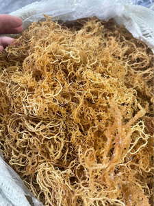 LES ALGUES SÉCHÉES PURES BON POUR LE CŒUR RENFORCE LE SYSTÈME IMMUNITAIRE PERSONNALISER L'EMBALLAGE BON POUR LA SANTÉ DES PERSONNES ÂGÉES - Product Image 3