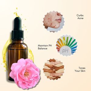 Aceite Esencial de Rosa Pura (Rosa Damascena) de Bulgaria, Destilado al Vapor |   Suministro al por mayor para compradores mayoristas - Product Image 5