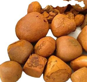 Gallstone de vaca de buena calidad, listo para suministro - Product Image 2