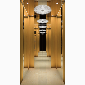 Sin sala de máquinas Eje 320kg 400kg Casa pequeña Villa Ascensor Elevadores Dentro DE LA CASA <span class=keywords><strong>Ascensores</strong></span> de pasajeros 3 pisos 4 pisos - Product Image 3