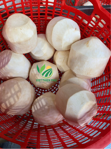 Cocos frescos de primera calidad: saludables, refrescantes y perfectos para eventos en la playa, embalaje a granel, de Vietnam - Product Image 4