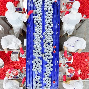 Toàn Bộ bóc vỏ cà chua đóng hộp bóc vỏ cà chua trong Đóng hộp thiếc xắt nhỏ cà chua - Product Image 4