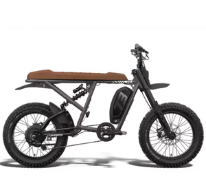 Bicicleta Eléctrica Certificada Nueva -R Adventure-Series SE - Cuadro de Aleación de Aluminio, Batería de Litio, 21 Velocidades, Largo Alcance - Product Image 1