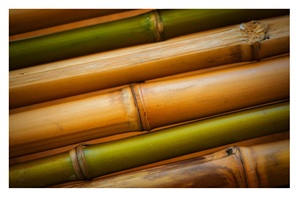 Poteau en bambou naturel écologique et durable de Vietnamien pour l'exportation avec un prix compétitif - Product Image 6