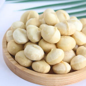 Customized Taste Roasted <b>Macadamia</b> <b>Nuts</b> Crispy No Shell Vietnamese Manufacturer - Product Image 3