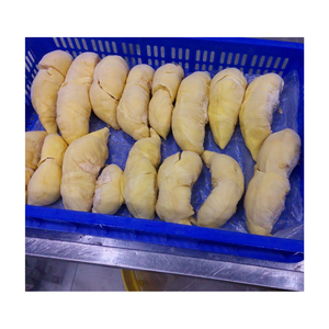 Durian surgelé vietnamien authentique, sucré, crémeux et aromatique, populaire dans le monde entier, prêt à manger, emballé avec fraîcheur et saveur - Product Image 2