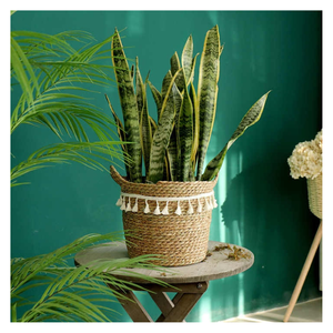 Premium Quality <b>Rattan</b> Storage Baskets Seagrass Organizer Elegant Design Sustainable Made in Vietnam Manufacturer - Product Image 3