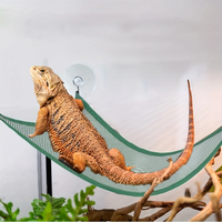 Meilleurs accessoires tapis tissés avec un style naturel et la texture de terrarium avec de nombreuses tailles