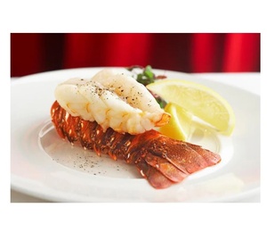 กุ้งมังกรออสเตรเลียแช่แข็งจากการจับปลาในธรรมชาติ ส่งออกอาหารทะเลเกรดพรีเมียมสดใหม่จากผู้จัดจำหน่ายที่เชื่อถือได้ - Product Image 6