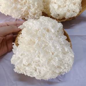 Ingrédient de champignon tremella blanc séché naturellement, conçu pour la fabrication culinaire, provenant du Vietnam - Product Image 1
