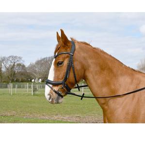 Brida Anatómica para Caballo Joya Modelo 009 de Cuero Genuino de Uttar Pradesh - Product Image 1