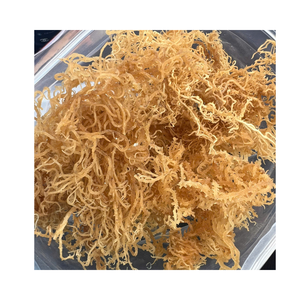 Musgo de mar natural sin sal | Tipo copos sueltos | Sin productos químicos | Secado al Sol | Limpio y puro - Product Image 5