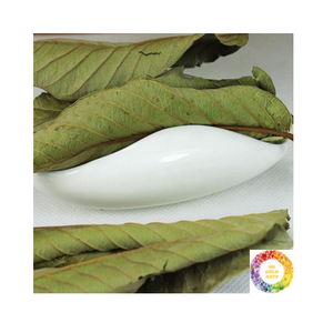 Suministro a granel Té de hoja de guayaba natural Mezcla de hierbas de alto grado Embalaje personalizado al por mayor para bebida de hierbas sabrosa en cualquier momento - Product Image 2