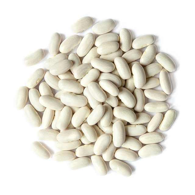 High Quality White Butter Beans - Wholesale Price for Export
