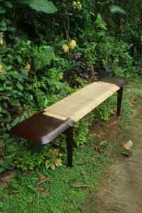 Banco de madera maciza con asiento de ratán tejido a mano. - Product Image 2