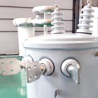 Transformador de Distribución Monofásico de Poste, Tipo II0/II6, de 10 Kv/480V y 167kVA, con Aceite, de Cobre y Aluminio, Marca ZhongShao