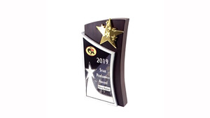 Fornitura all'ingrosso da Designer India targa in legno stella Memento premio in metallo per un lungo servizio per trofei medaglie placche di esportazione - Product Image 4