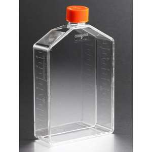 Catégorie Produit Corning CellBIND 225cm2 Flacon de culture cellulaire à col coudé rectangulaire avec bouchon d'aération Flacons de 225 cm2 - Product Image 1