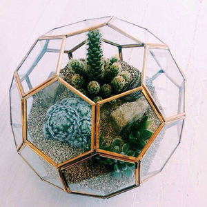 Decoración de mesa en miniatura para jardín de casa, maceta pequeña de pentágono en forma de fútbol, maceta de Terrario de vidrio geométrico de oro negro - Product Image 6