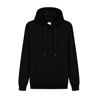 Sweat à capuche épais pour homme en molleton 100 % coton, coupe régulière, 250 g/m², personnalisé OEM, idéal pour l'hiver, vente en gros