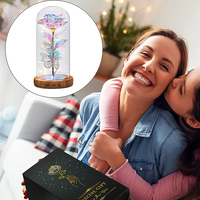 Hadiah Hari Ibu kotak mawar galaksi cantik bunga mawar Valentine dalam kubah kaca dengan Led