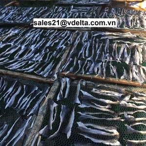 ผิวปลาสวายจากเวียดนาม - Product Image 6