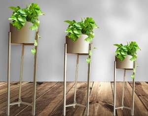 Modern <b>Planter</b> set of 3 <b>stand</b> for Home hotel Decoration Gold color Metal modern Iron <b>Planter</b> <b>stand</b> Flowers Pots & <b>Planter</b> <b>Stand</b> - Product Image 6