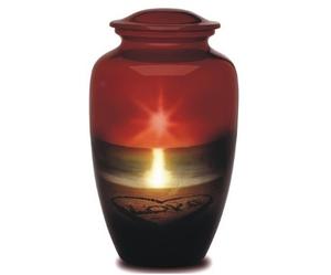 Urnas para cenizas de adulto Funeral Eagle Flag Urna grande para cenizas de seres queridos Tamaño 10,5 "y 220 Cu. En - Product Image 5