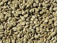 Grains de café Robusta vertes lavées à froid de qualité supérieure, origine Vietnamienne, Grade A+, petites commandes acceptées, prix compétitif