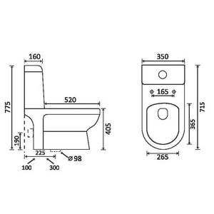 Toilettes sanitaires en céramique Offre Spéciale Washdown ou siphonic monobloc avec nouveau design et dernier système de chasse d'eau - Product Image 1
