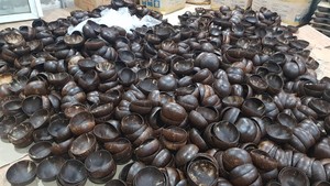 MEJOR PRECIO DESDE 99D - Tazón de Cáscara de Coco Hecho a Mano con Acabado Natural, Apto para Uso en la Cocina y Decoración de Interiores - Product Image 2