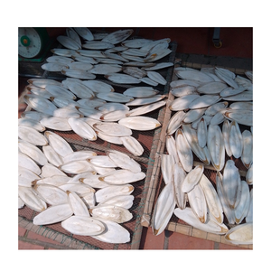 Fournitures de perroquet jouet à mâcher pour oiseaux Offre Spéciale, os de seiche séché, os de seiche séché naturel, os de calmar pour perroquets et reptiles - Product Image 1