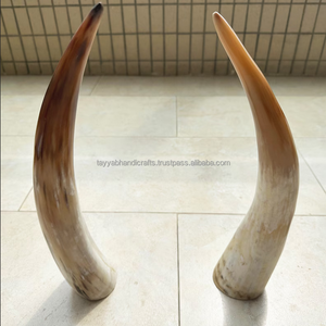 Elegante Pieza Decorativa de Ágata: Cuerno para Beber Único con Grabado y Soporte, Tallado en India - Product Image 6